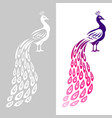 peacock wedding symbol abstract peecoock design vector image