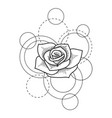tattoo with rose and circles on white background vector image