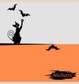 halloween background with a black cat vector image