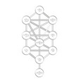 icon with tree of life kabbalah symbol vector image
