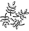 black tropical leaves hand drawn vector image vector image