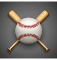 dark background of baseball leather ball vector image vector image