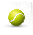 tennis ball isolated on white green vector image vector image