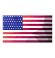 usa flag vector image