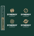 modern professional set logos synergy vector image vector image