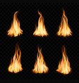 burning fire flames and trails campfire vector image vector image