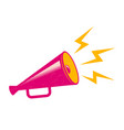 pink megaphone vector image