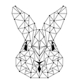 rabbit head low poly isolated icon vector image