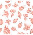hand drawn raspberry cherry and blueberry harvest vector image