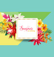 hello summer design with tropical flowers palms vector image
