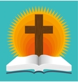 holy bible book vector image