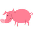 pig or piglet animal character cartoon vector image