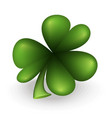 green clover leaf vector image