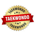 taekwondo round isolated gold badge vector image