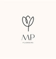 mp initial tulip flower creative logo design vector image