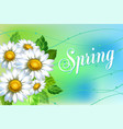 background with chamomiles vector image