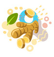 fresh ginger on color abstract background vector image vector image