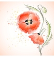 red poppy bouquet vector image vector image