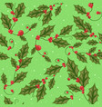 mistletoe branch with green leaves for christmas vector image vector image