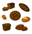 set rye dark read icons vector image