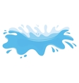 water splash vector image