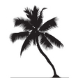 coconut tree vector image