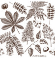 vintage floral pattern vector image