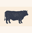cow silhouette vintage retro print vector image vector image