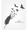 feathers with flying flock birds vector image