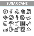 sugar cane agriculture collection icons set vector image