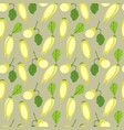 chayote flat design seamless pattern of art vector image vector image