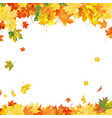 autumn maple frame vector image vector image