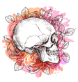 skull and flowers hand drawn sketch vector image