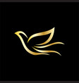 gold bird business logo vector image
