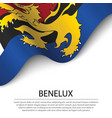 waving flag of benelux on white background banner vector image