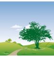 country scene vector image