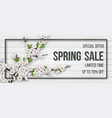 spring card with blooming branch vector image