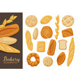 types bread collection vector image