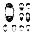 beards vector image