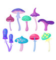 flat set of different magic mushrooms vector image