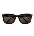 realistic sunglasses spectacles mockup vector image