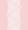 seamless white lace vector image vector image