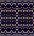 abstract geometric pattern in line style vector image vector image