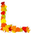 autumn leaves border vector image