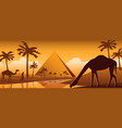 camel drink water in oasis desert nearby vector image