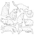 set sketch cats vector image