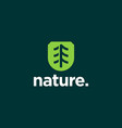 simple emblem tree logo pine forest icon vector image
