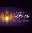 beauty ramadan greeting background vector image