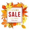 sale banner with autumn leaves vector image