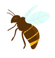 engraving of honey bee vector image